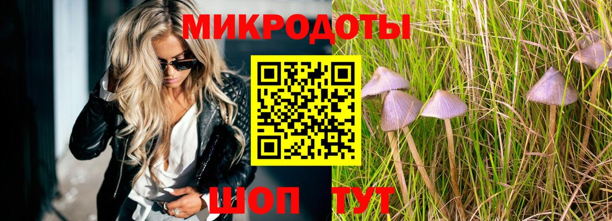 Псилоцибиновые грибы мицелий Гусиноозёрск